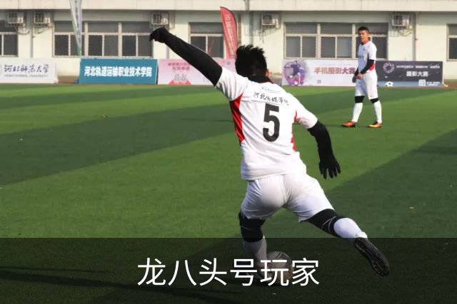 关于龙八头号玩家